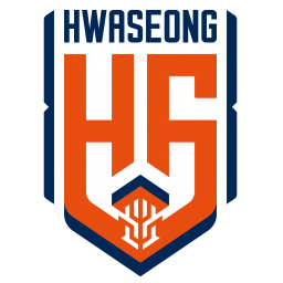 龙仁FC